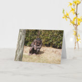 Bonne visite Carte #1 (Fleur jaune)