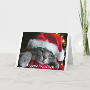 Bonnes fêtes ! Carte mignonne de chaton
