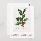 BONNES FÊTES CARTE POSTALE NOËL (Devant / Derrière)