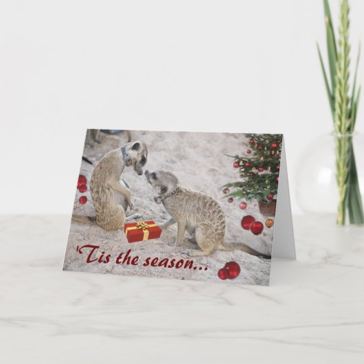 Bonnes Fêtes de Zaphod et de Monkulus - carte (Devant)