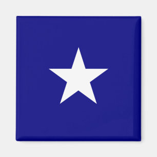 Bonnie Blue Flag Magneet