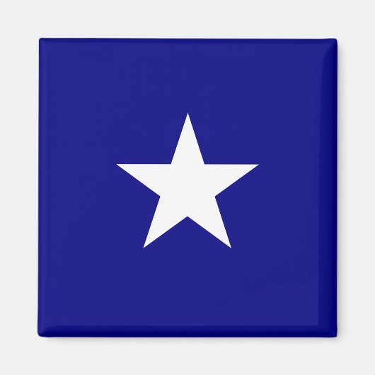 Bonnie Blue Flag Magneet (Voorkant)