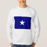 Bonnie Blue Flag