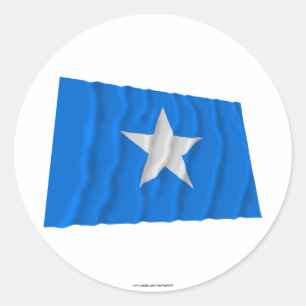 Bonnie Blue Flag/West Florida Republic Flag Ronde Sticker