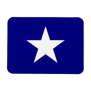 Bonnie Blue Flag White Star Magneet