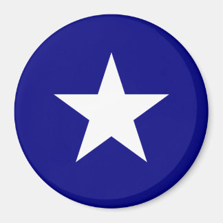 Bonnie Blue Flag White Star Magneet