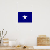 Bonnie Blue Flag White Star Poster (Kitchen)