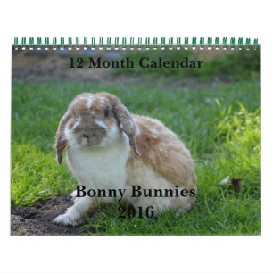 Bonny Bunnies 12-maandelijkse kalender 2016