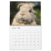 Bonny Bunnies Calendrier des 12 mois 2016 (Jan 2026)