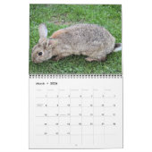 Bonny Bunnies Calendrier des 12 mois 2016 (Mar 2026)