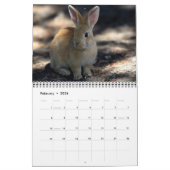 Bonny Bunnies Calendrier des 12 mois 2016 (Feb 2026)