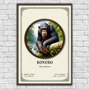 Bonobo Zoölogie Serie Poster