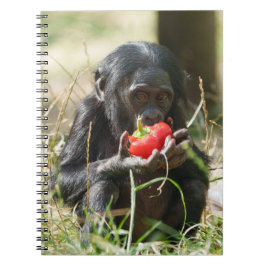Bonobo's picknick notitieboek