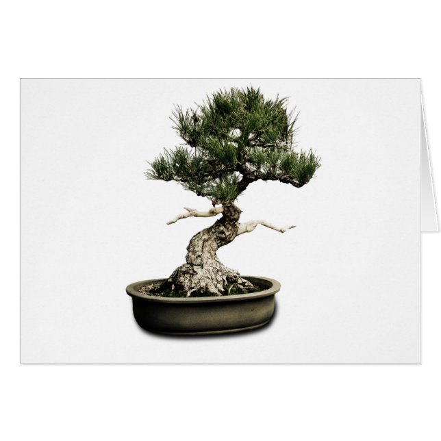 Bonsai (Voorkant Horizontaal)
