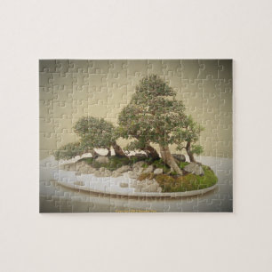 Bonsai 5 legpuzzel
