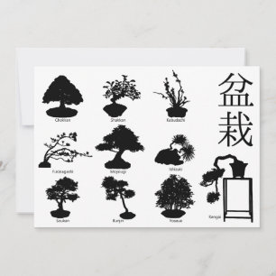 Bonsai Boom Basisstijlen 10 Kaart