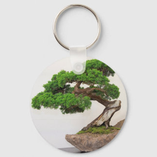 Bonsai-boom- natuurlijk sleutelhanger