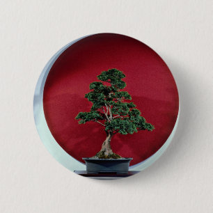 Bonsai-boom Ronde Button 5,7 Cm