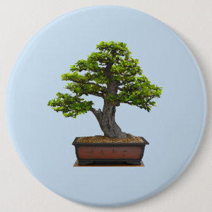 bonsai boom ronde button 6,0 cm