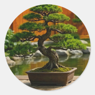 Bonsai Boom van de Draak van Balans Ronde Sticker