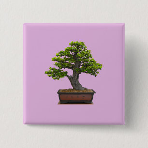 bonsai boom vierkante button 5,1 cm