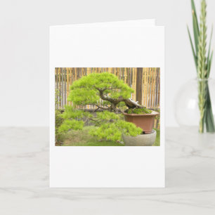 Bonsai / Chinees potlandschap Feestdagen Kaart