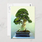 Bonsai Cypress-boom Briefkaart (Voorkant / Achterkant)