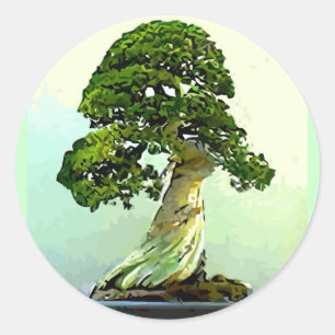 Bonsai Cypress-boom Ronde Sticker