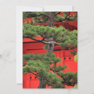 Bonsai dennenboom bedankkaart