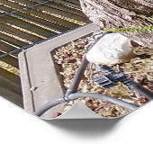 Bonsai Eejit Tree Poster (Hoek)