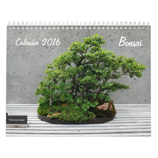 Bonsai kalender 2016 (Hoes)