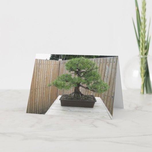 Bonsai Mugo Pine bedankkaart (Voorkant)