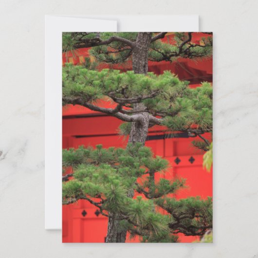 Bonsai Pine Tree Bedankkaart (Voorkant)