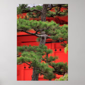Bonsai Pine Tree Poster (Voorkant)