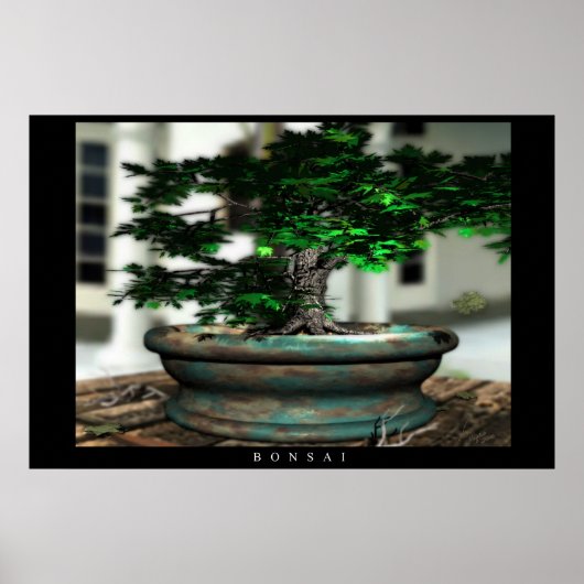 Bonsai Poster (Voorkant)