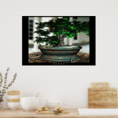 Bonsai Poster (Keuken)