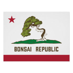 Bonsai Republiek Vlag Perfect Poster