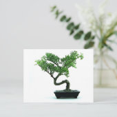 Bonsai Tree Briefkaart (Staand voorkant)