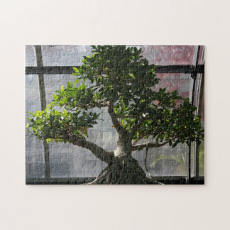 Bonsai Tree Legpuzzel
