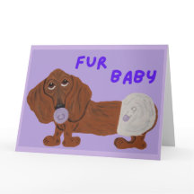 Bont Baby Dachshund Puppy