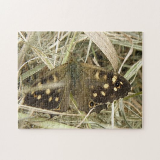 Bont Zandoogje Vlinder Puzzel (Horizontaal)