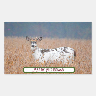 Bonte Herten Foto Stickers