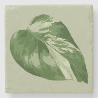 Bonte Monstera Blad – Echte Plant Kunst Stenen Onderzetter