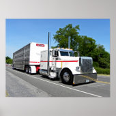 Bontrager's 379 Poster (Voorkant)