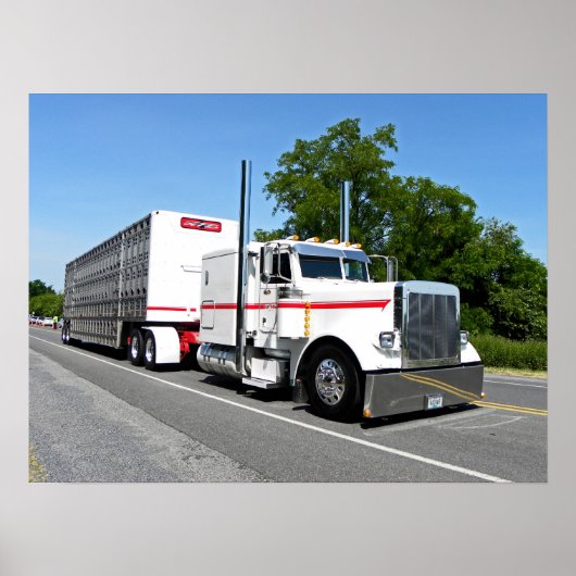 Bontrager's 379 Poster (Voorkant)