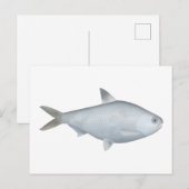 Bony Bream Briefkaart (Voorkant / Achterkant)
