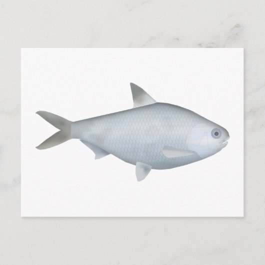 Bony Bream Briefkaart (Voorkant)