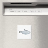 Bony Bream Magneet (Insitu (Vaatwasser))