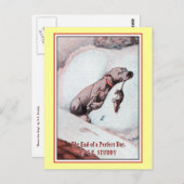 "Bonzo de Hond" in "Einde van de Dag" Briefkaart (Voorkant / Achterkant)