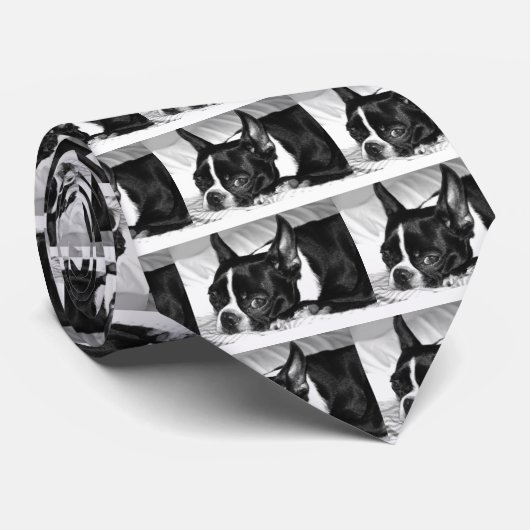 Boo Hoo Stropdas (Opgerold)